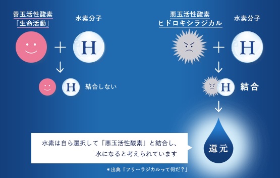 ラジカル ヒドロキシ 悪玉活性酸素（ヒドロキシルラジカル）の除去に最適な水素水の力