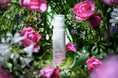 ブランドで人気のクレンジングクリームの限定アロマ「イノセントローズ」を2025年1月14日(火)に発売。