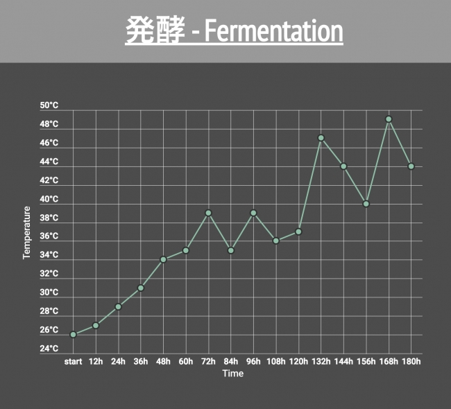 カカオ豆の発酵温度データ