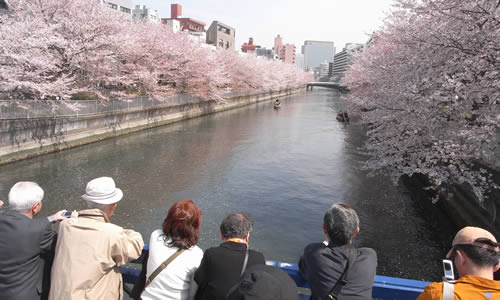 石島橋から東側を見渡すのが絶景ポイント 石島橋から東側を見渡すのが絶景ポイント