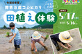 米どころ南魚沼で泥んこ食育体験「令和8年度 南魚沼産コシヒカリ田植え体験」開催