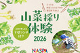 越後湯沢へ、春を見つけに。雪国の恵みを愉しむ「山菜採り体験 2026」開催