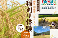 黄金色の田んぼで、南魚沼産コシヒカリを収穫！25年目の「稲刈り体験」を9月23日開催