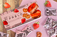 「PABLO(パブロ)チョコプレッツェルBOX 〜とろける濃厚いちご味~」全国のアミューズメント施設限定で4月中旬より展開スタート!