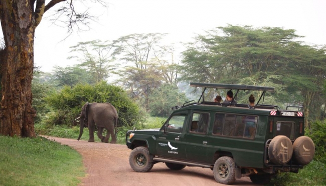 ンゴロンゴロ自然保護区のゲームドライブ