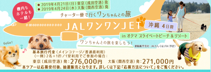 第三弾は大阪 関西空港 発も設定 機内もホテルも一緒 チャーター便で行くワンちゃんとの旅 Jalワンワンjet 沖縄 4日間 株式会社ジャルパックのプレスリリース
