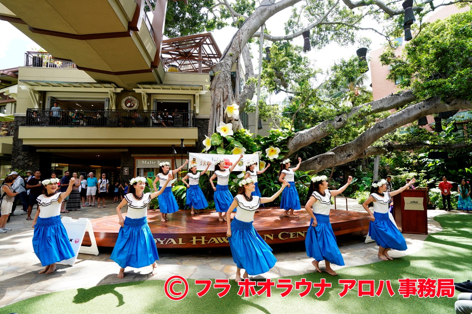 本格派のフラ フェスティバル 初のオンライン開催フラ ホオラウナ アロハ バーチャル ライブイベント 21 エキシビション参加ハラウ募集開始 株式会社ジャルパックのプレスリリース