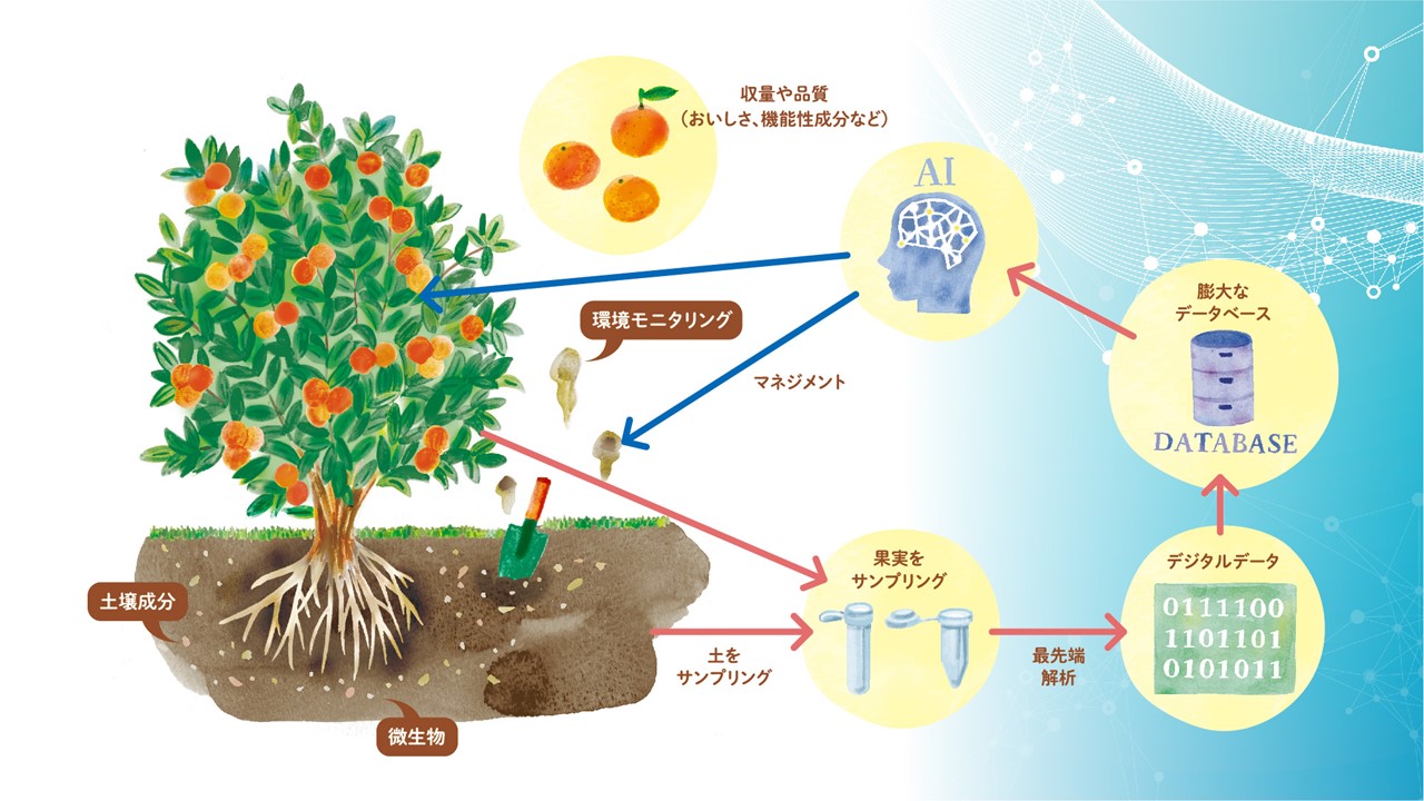 ネイチャーポジティブな環境再生型農業の実現に向けて農業のデジタルツインに関するオープンイノベーションでの共同研究を開始 Ntt西日本のプレスリリース