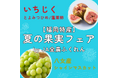 福岡県産旬の味覚が博多駅に集合！9/5.6 「夏の果実フェアby JA全農ふくれん」 福岡県産ブランドいちじくの食べ比べ