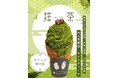 【博多駅初上陸！大阪で人気の行列スイーツ】老舗茶屋のモンブランアイス『モンテヴェール』7/1～博多エキナカマイングに期間限定初登場！