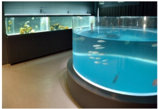 むろと廃校水族館