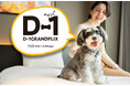 愛犬が主役のホテル、「hotel anddoggy京都二条」が【D-1グランプリ】を開催! 愛犬との旅写真投稿キャンペーン、10月10日よりスタート