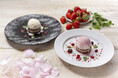 シーフードレストラン「RED LOBSTER」と「Häagen-Dazs」によるタイアップ第三弾!「ストロベリーパリットルテ」 2月4日(火)より全店にて提供開始