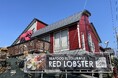 レッドロブスター逗子店は19周年を迎えます!