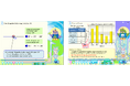 「すらら」算数/数学を海外向けにローカライズ 小学校高学年の全範囲開発完了