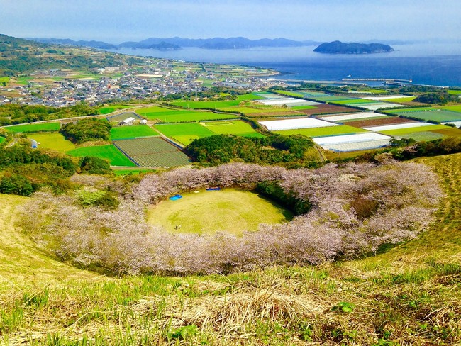 箕岳の桜