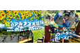 夏のアルプス大冒険～ヒンヤリ爽快！ウォーターパーティー～開催中！【国営アルプスあづみの公園　堀金・穂高地区】