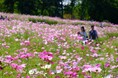 滝野に彩りの秋がやってくる!秋のオススメ情報(国営滝野すずらん丘陵公園)