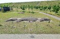 「みんなの花壇」にお花を植えます(岩手県立高田松原津波復興祈念公園)