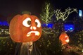 ライトアップ&イルミネーション「森のハロウィンナイト」開催します!(国営武蔵丘陵森林公園)