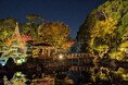 【足立区花畑記念庭園】秋のライトアップ開催