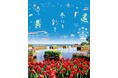 ぽっかぽか冬フェア!! 開催中です(国営ひたち海浜公園)