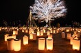 Xmasキャンドルナイト開催(国営越後丘陵公園)