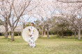 サクラ開花【国営海の中道海浜公園】