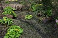 北海道にも「春」が来た!4/20(日)より夏期営業スタート!(国営滝野すずらん丘陵公園)
