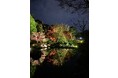 【足立区花畑記念庭園】秋のライトアップ開催