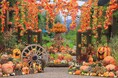 秋バラとハロウィン・ハーベスト 開催(国営越後丘陵公園)