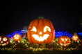「森のハロウィンナイト」開催します(国営武蔵丘陵森林公園)