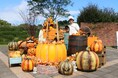 ハロウィンフォトスポット登場【国営海の中道海浜公園】