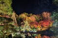 【足立区花畑記念庭園】秋のライトアップ開催