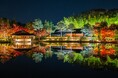 幻想的な夜の日本庭園が見頃【国営昭和記念公園】
