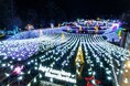 「Winter Illumination2025 」開催中です！【国営アルプスあづみの公園　堀金・穂高地区】