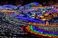 まんのう公園のイルミネーション「ウィンターファンタジー」に過去最多20万人が来園（国営讃岐まんのう公園）