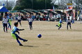 「海・花ちびっこサッカー大会U-12」を開催します。（国営ひたち海浜公園）