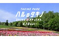 北海道にも「春」が来た！4/19（日）より夏期営業スタート！（国営滝野すずらん丘陵公園）