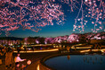 夜桜ライトアップ『みちのく花明かり』開催中（国営みちのく杜の湖畔公園）