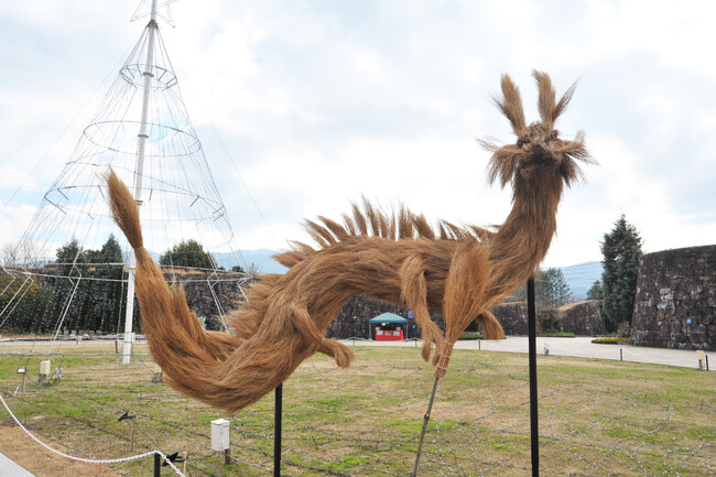 コキアの干支オブジェ「辰」が登場しました！【国営讃岐まんのう公園】