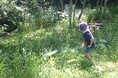 【滝野の森で本気の虫さがし！】「滝野の森 昆虫野外博物館」8/11（火祝）まで毎日開催中！！（国営滝野すずらん丘陵公園）