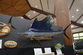 レアな深海魚や危険な魚がいっぱい！魚魚展開催中！【国営アルプスあづみの公園　堀金・穂高地区】