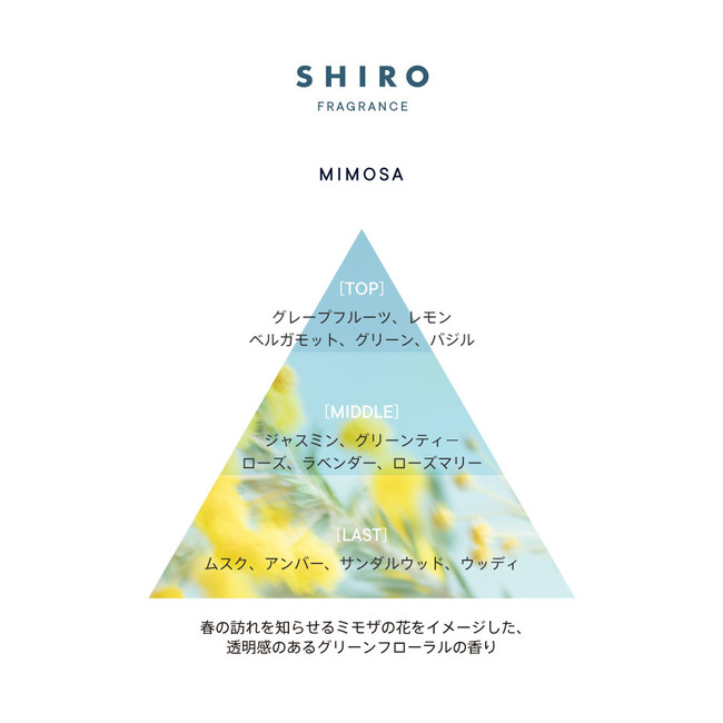 春の訪れを知らせる ミモザ をイメージした香りから シリーズ初登場 オイルインヘアセラム をはじめ 3つのアイテムが2 24 木 に数量限定で登場 Shiroのプレスリリース