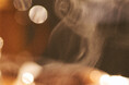 【SHIRO】LIMITED FRAGRANCE 和紅茶