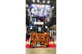 【新潟コンピュータ専門学校】日本最大級のゲームイベント 東京ゲームショウ2024に30回目のブース出展