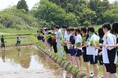 【国際調理製菓専門学校】新潟県西蒲原郡弥彦村にて食育実習「田植え」を実施