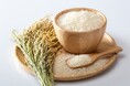 【新潟食料農業大学】お米を原料から商品に変身させる体験講座など満載のイベントを実施