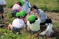国際こども・福祉カレッジ【グループ企業コラボ授業】こどもたちとの芋掘り体験で深める保育の実践力!