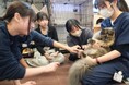 【姉妹校コラボ授業】「動物×こども」で「命」について考える